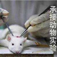 模型评价活体成像