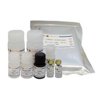 Mouse MMP-3 ELISA Kit