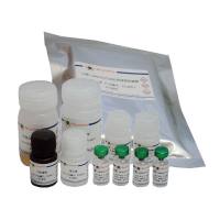 Mouse L-selectin/CD62L ELISA Kit