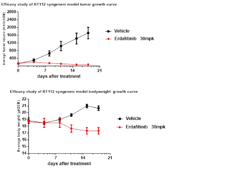 产品细节图片11