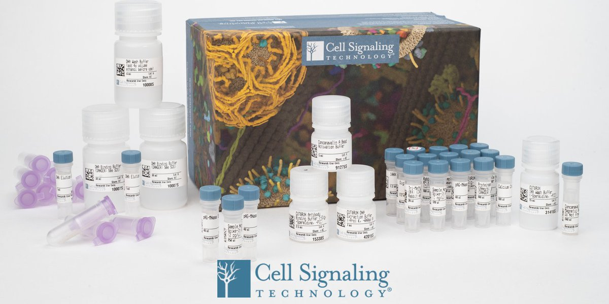 Mouse Reactive Alzheimer's Dis