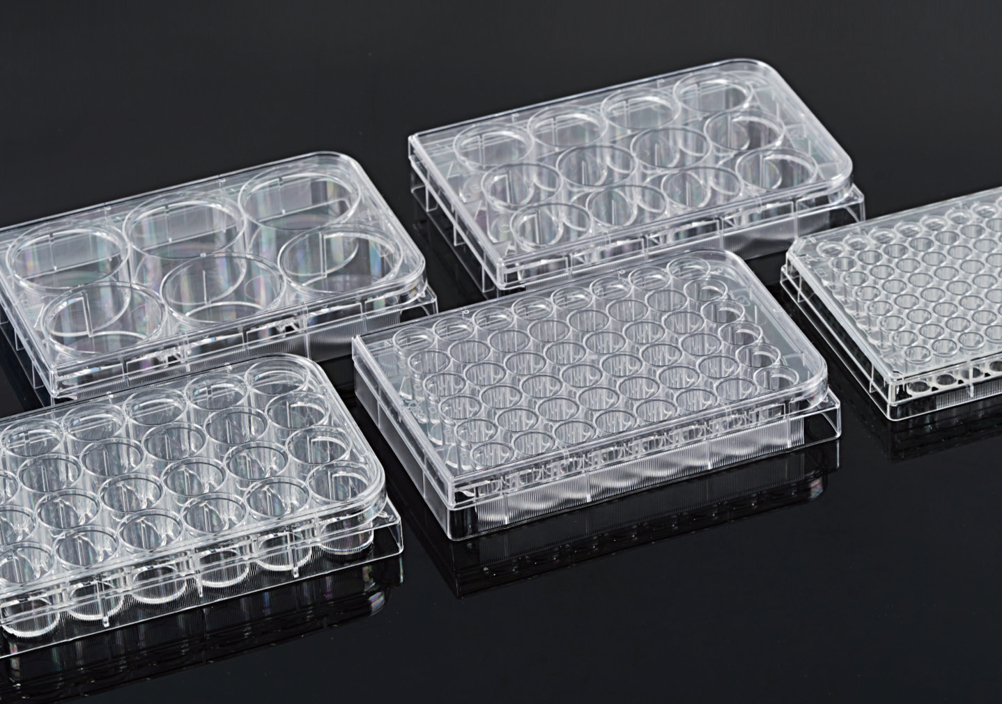 微生物菌种纯度检测方法