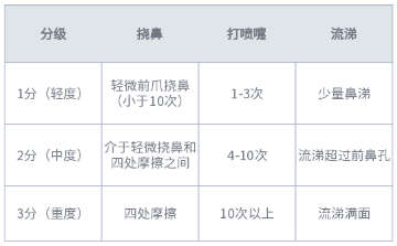鼻炎模型 五官系统模型