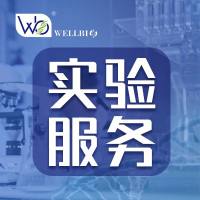 RNA 结合蛋白免疫沉淀