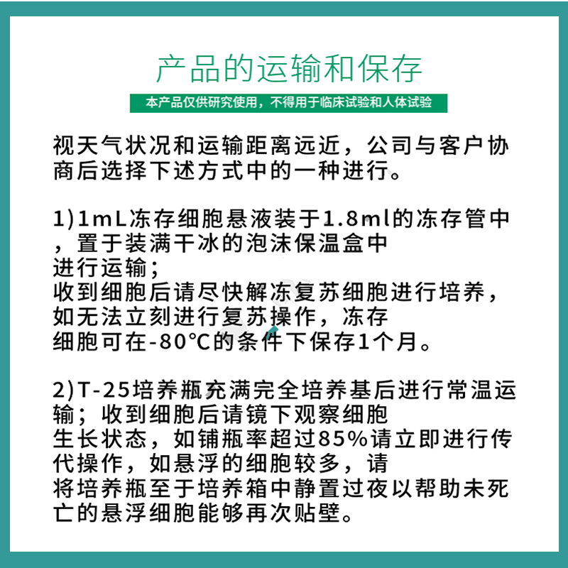 人肝外胆管上皮细胞完全培养基