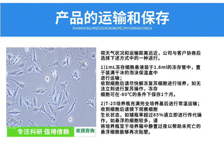 人直肠平滑肌细胞完全培养基