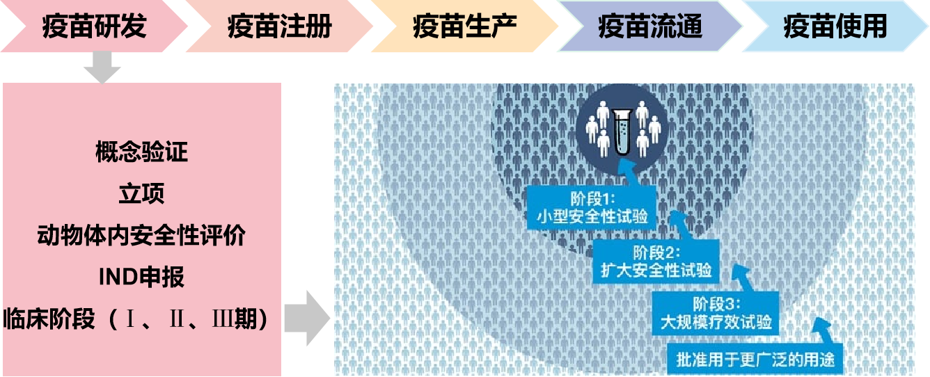 ViruStop：传染病疫苗的有效性及免疫应答评价