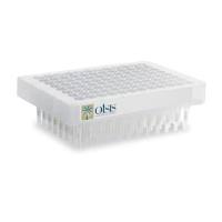 Waters 186001828BA Oasis HLB 96孔洗脱板，每孔2mg吸附剂，30μm 