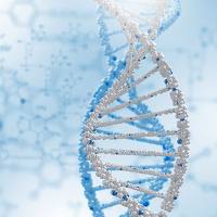 蛋白组学_蛋白组学测序_做蛋白组学公司