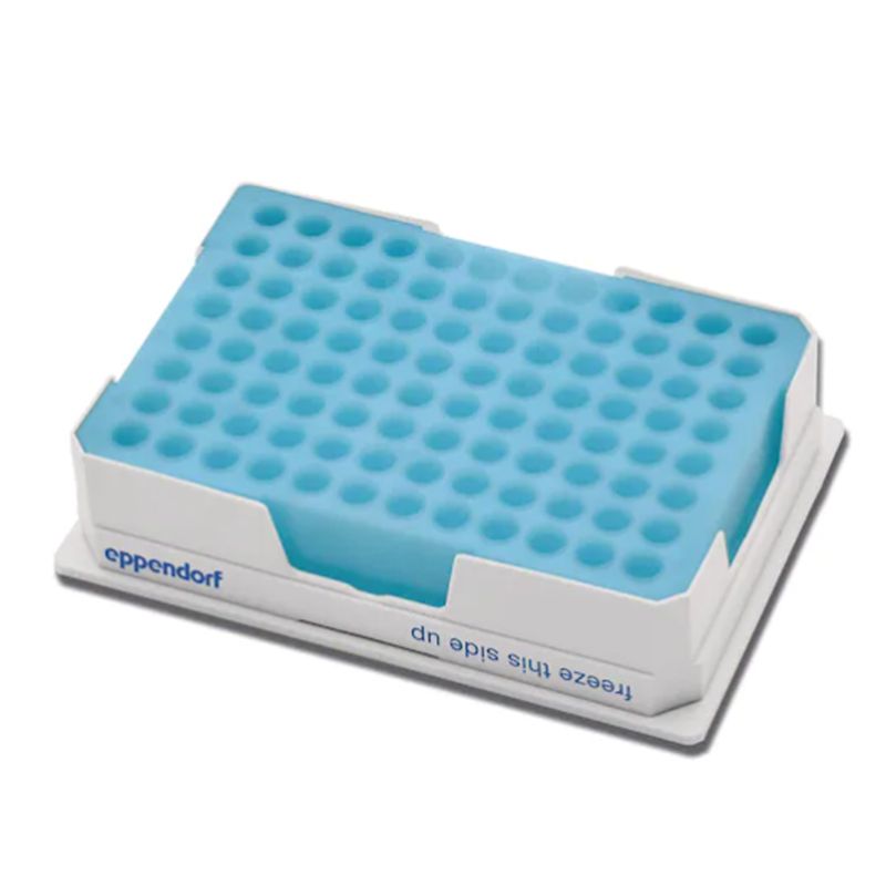 Eppendorf艾本德3881000031 PCR-Cooler低温指示冰盒0.2ml,蓝色冰盒