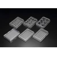 SPL life sciences,30048 ,48孔细胞培养板,PS,TC处理,无菌, 50/箱