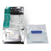 BeyoGel™ Plus PAGE预制胶(Hepes, 4-15%, 15孔)