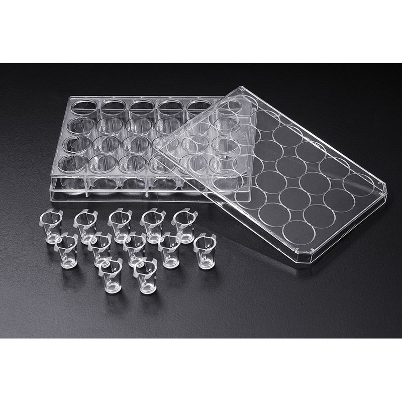 SPL life sciences，36006 ，插入式细胞