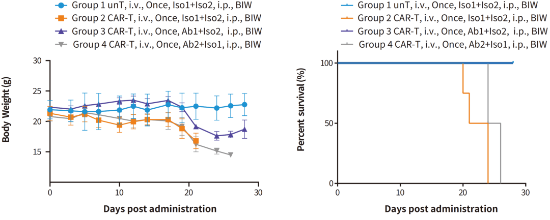 关于CDX模型，这些知识点你必须了解！