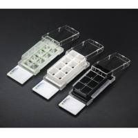 SPL life sciences,30402,2孔细胞培养滑箱, DLux,1.2~2.5ml,灭菌,透明, 12 个 / 箱