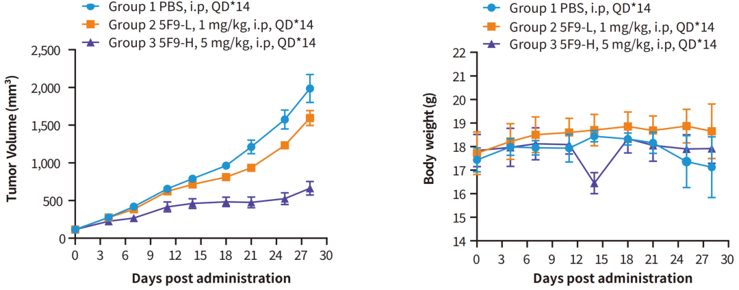关于CDX模型，这些知识点你必须了解！