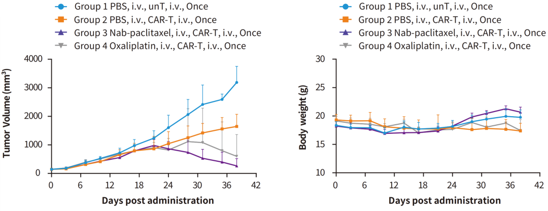 关于CDX模型，这些知识点你必须了解！