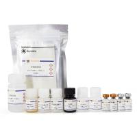 Human TGF-β1 ELISA Kit