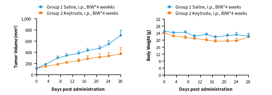 关于CDX模型，这些知识点你必须了解！
