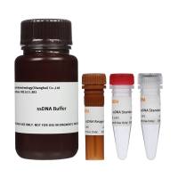 ssDNA Assay Kit 单链DNA(ssDNA)荧光定量检测试剂盒