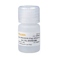 Anti-Flag亲和纯化凝胶(Anti-DYKDDDDK (Flag) Affinity Gel)