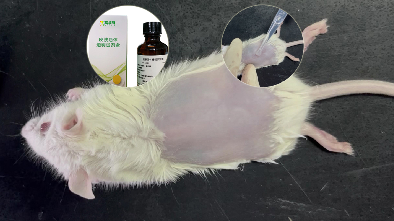 活体皮肤透明化试剂盒