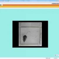 大小鼠条件性恐惧 动物行为学实验