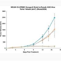 人源化肿瘤移植模型
