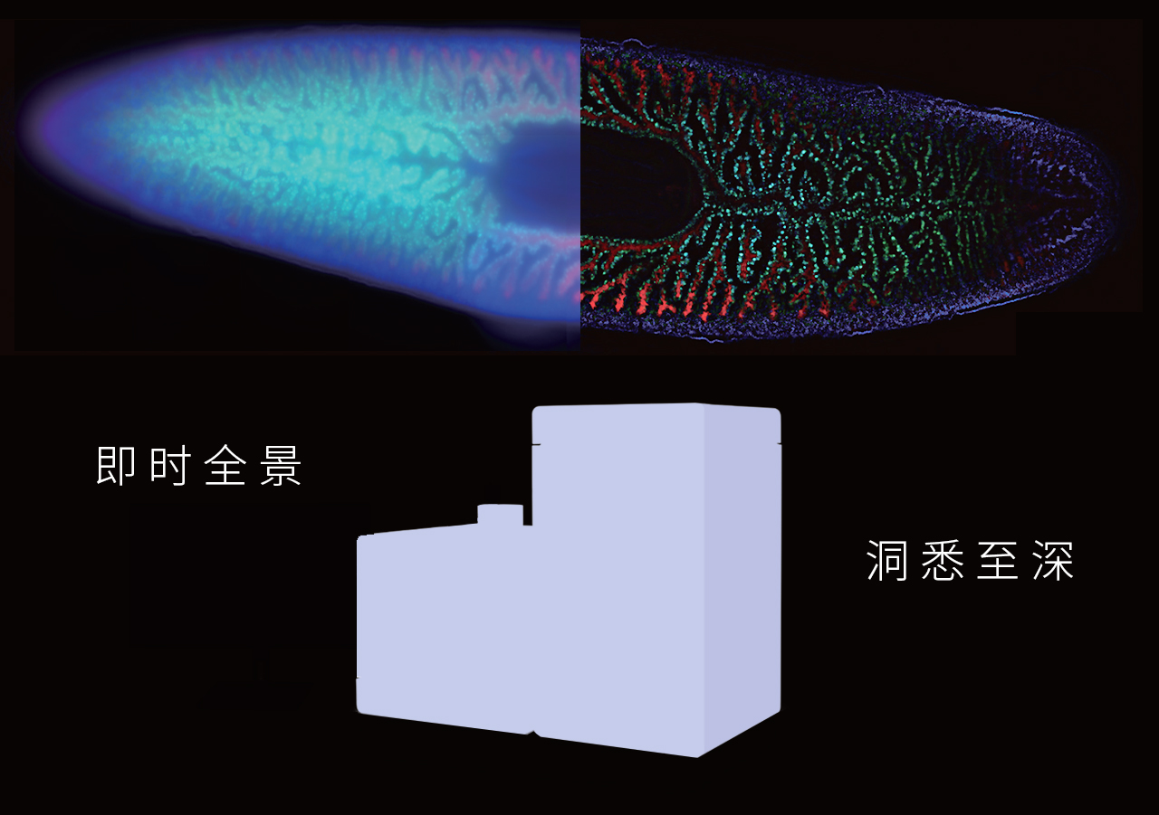2023中国神经科学学会第十六届全国学术会议！EVIDENT诚邀您的到来！