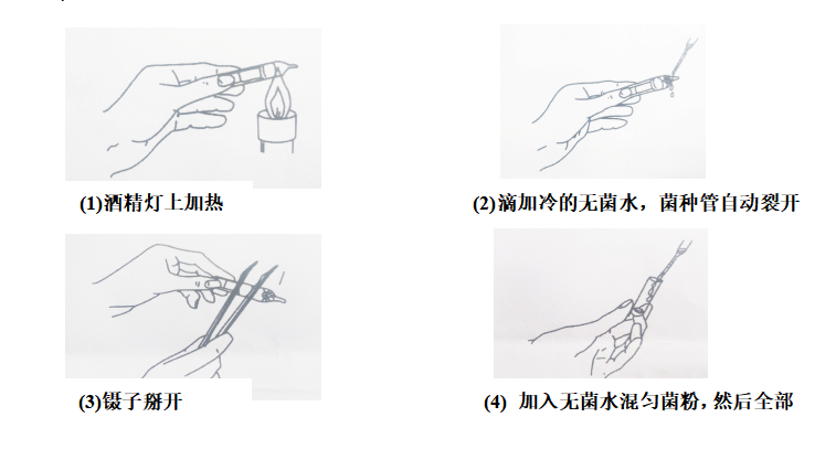 单层冻干管的开启方法
