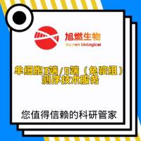10x Genomics单细胞转录组测序（3端/5端）