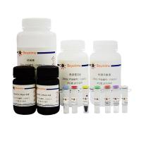 化学发光法RNA EMSA试剂盒