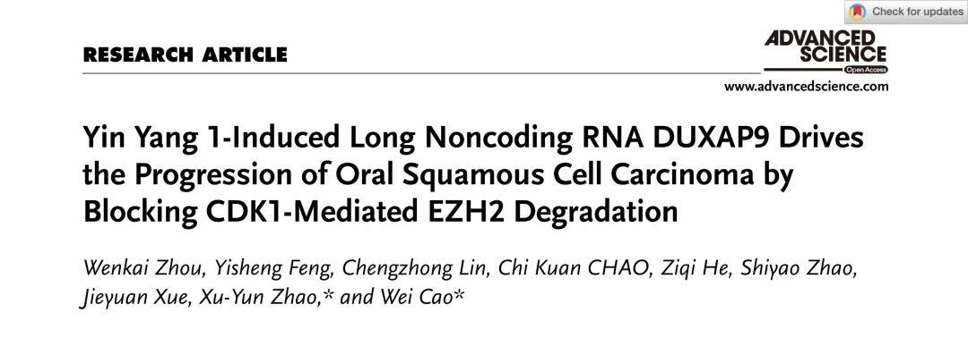 Adv Sci丨YY1诱导的lncRNA DUXAP9通过阻断CDK1介导的EZH2降解来驱动OSCC进展