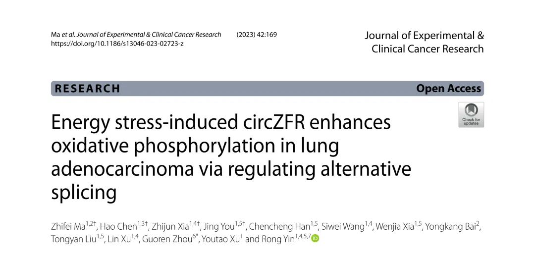 J Exp Clin Cancer Res丨能量应激诱导的circZFR通过调节可变剪接增强肺腺癌的氧化磷酸化