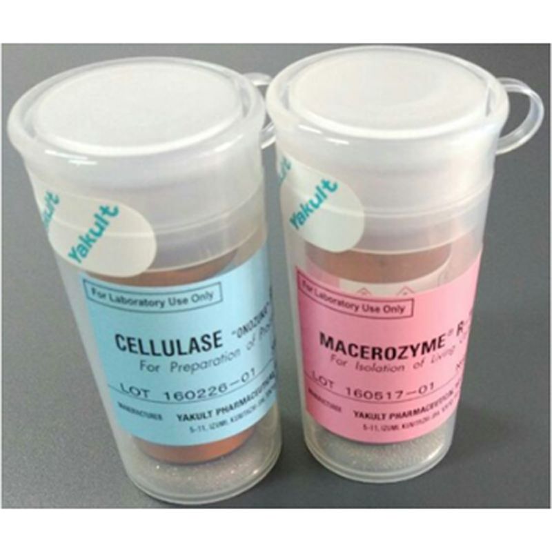 Yakult MX7352纤维素酶R-10，CELLULASE“ONOZUKA”RS ，10g/瓶