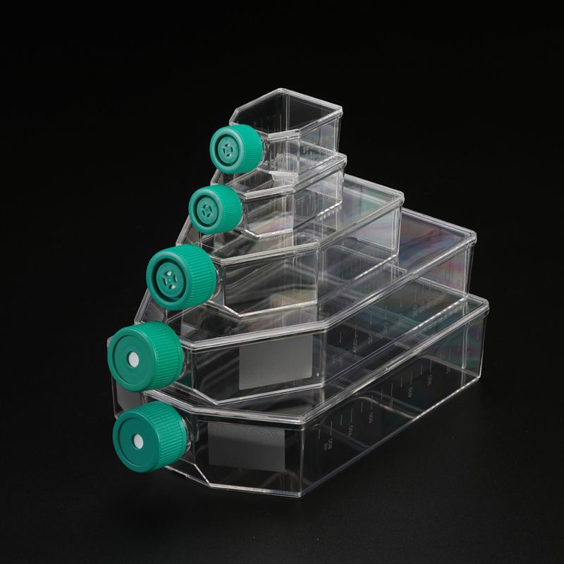 SPL life sciences 70075滤盖细胞培养瓶,75cm2,PS,TC处理,无菌，100个/箱