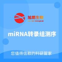 mRNA转录组测序