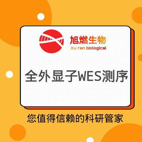 全外显子测序WES