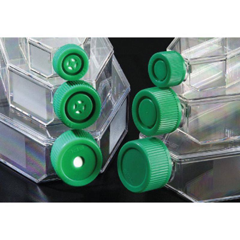 SPL life sciences74175滤盖悬浮细胞培养瓶,175cm2,PS,无菌，40 个 / 箱