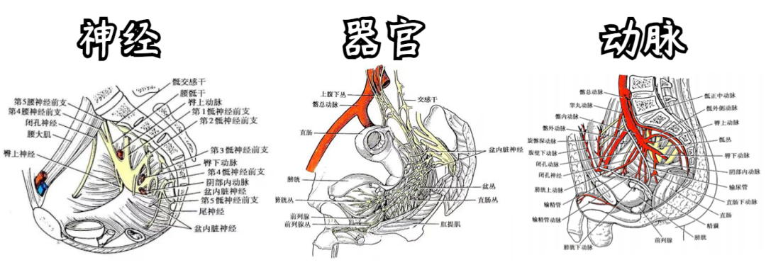 20 岁女孩高空坠落险弃疗,萨米医疗骨科团队齐心协力为其成功手术