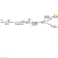 m7G  RNA甲基化测序服务