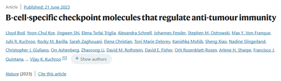 Nature重磅！B细胞免疫检查点TIM-1，提供肿瘤治疗新思路