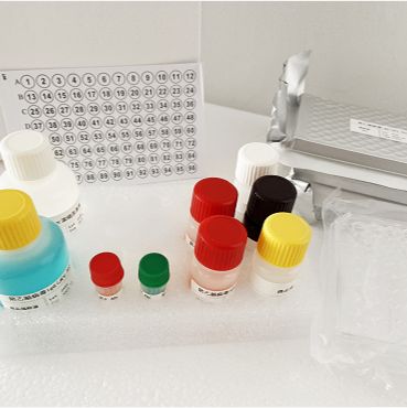 人可溶性环氧化合物水解酶(sEH)ELISA试剂盒