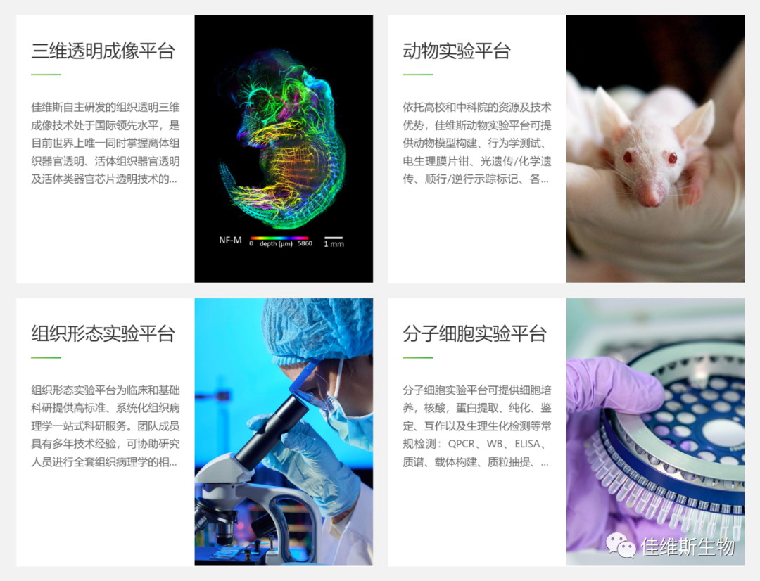 佳维斯生物参展第二十次中国暨国际生物物理大会，与您相约长沙，共享组织透明化三维成像的视觉盛宴！