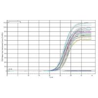 半定量RT-PCR实验服务