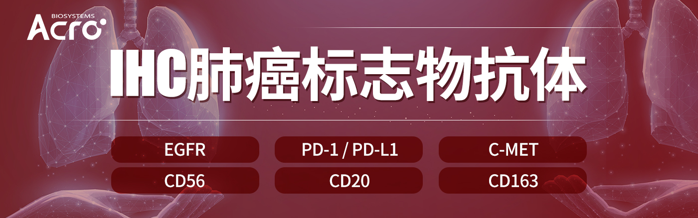 【肺癌疗效预测标志物】细数IHC检测关键抗体