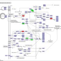 非标定量(Label-free)