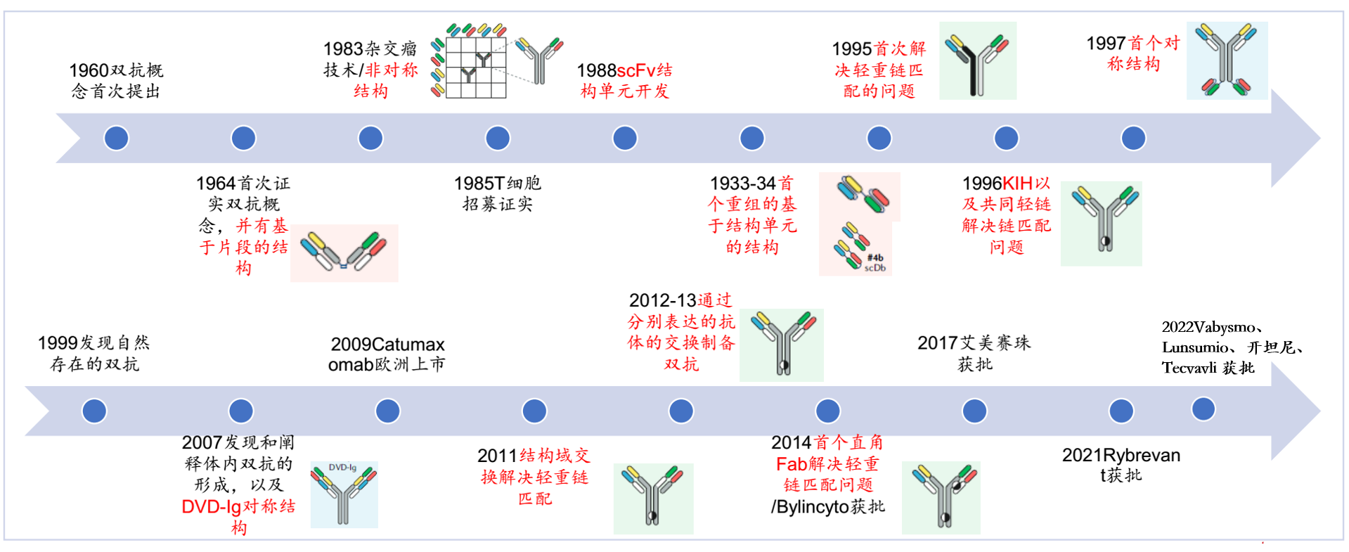 【双抗大有可为】CD3/CD20老将联手再掀新浪潮