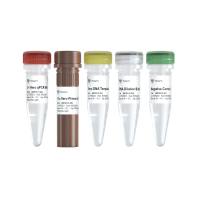 ResiDNA Precise Quantitative Vero DNA Detection Kit