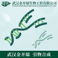 普通引物合成| 随机引物合成，PCR引物合成服务，价格优惠，合成速度快！